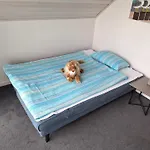 Vakantiehuis Nordwind - Nordhorn